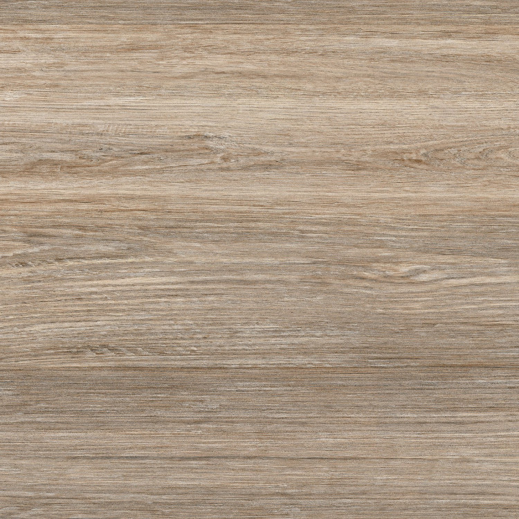 Керамогранит Alma Ceramica Forest 60*60 (GFU04FOR24R)