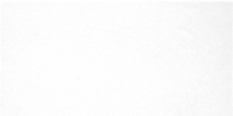 Плитка для стен Alma Ceramica Моноколор / Monocolor 24,9*50 см TWU09MNR020